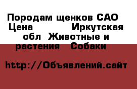 Породам щенков САО › Цена ­ 6 000 - Иркутская обл. Животные и растения » Собаки   